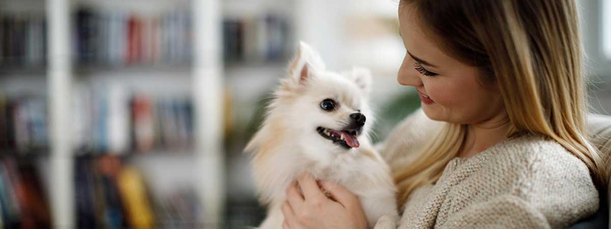 Apartments for rent in Knoxville, TN